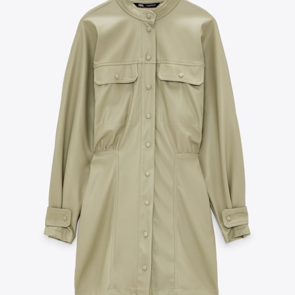 Zara Dress - Picture 13 of 14